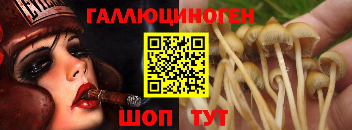 Псилоцибиновые грибы GOLDEN TEACHER  Вход с VPN  Воронеж 