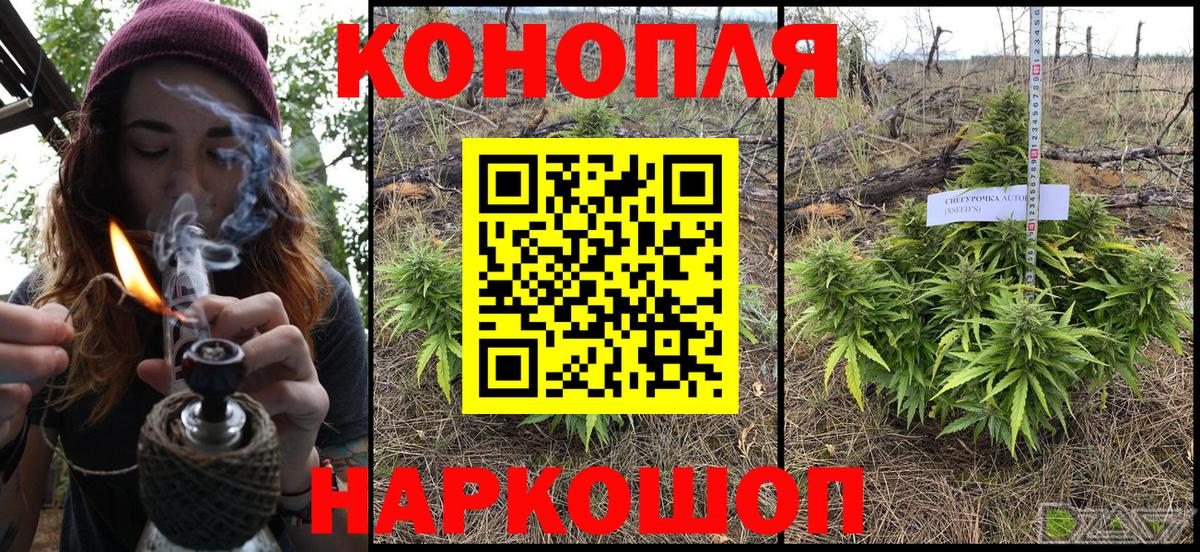 Конопля индика  Конопля OG Kush  Вход с VPN  Воронеж  Бошки Шишки SATIVA & INDICA 
